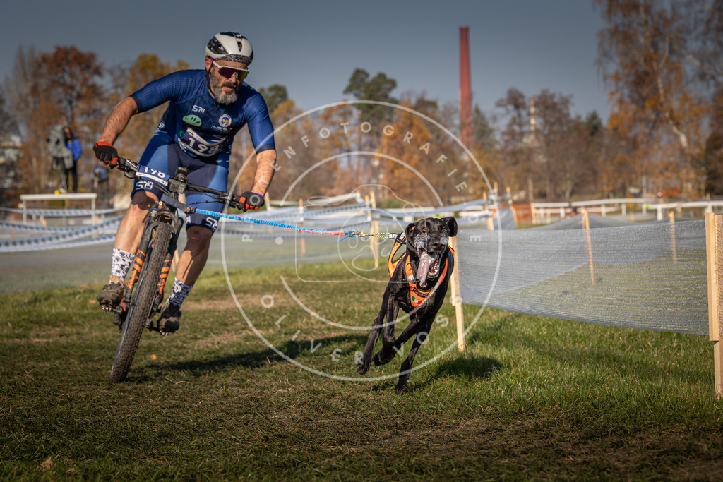 CaniXpix_0L8A6113 | Hundefotografie, Tierfotograf, Pfotenfotografie, Fotoshooting Hund, Hunde Portrait, Hundesport, Hundeportraits, Heideshooting, Hunde, Sportfotograf, Hundefotograf, Turnierhundsport, THS,  - Realisiert mit Pictrs.com