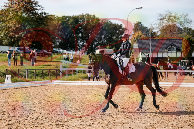 2026_10_03_Siefer-Hof_133620_Z63_96773893 | Professionelle Reitsport-, Turnier- und Eventfotografie von Robert Broda. Galerien mit ausgewählten und bearbeiteten Bildern direkt online ansehen und bestellen.