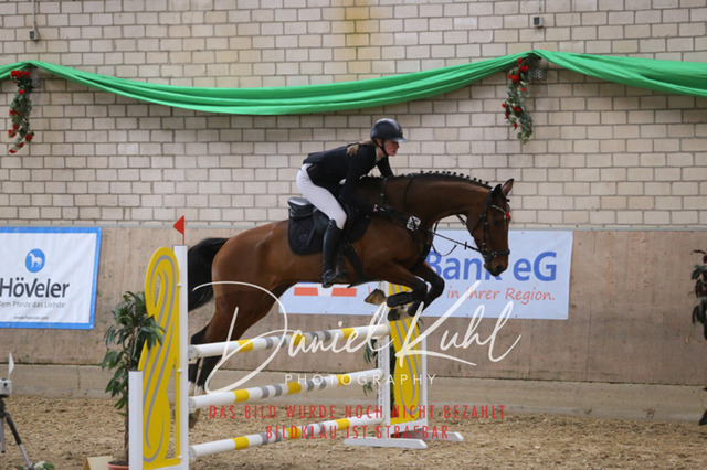 IMG_0650 | Turnierfotos kaufen im Webshop von Daniel Kuhl Photography – entdecke professionelle Reitsportfotos aus Turnieren & Events. Hochwertige Turnierbilder online bestellen & sichern. Jetzt Fotos von Reitsportturnieren kaufen!