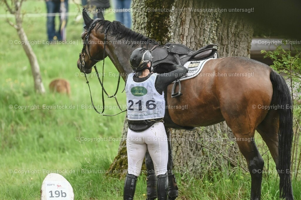 20230513_CCI2_Section2_Gelände_0187 | equistock