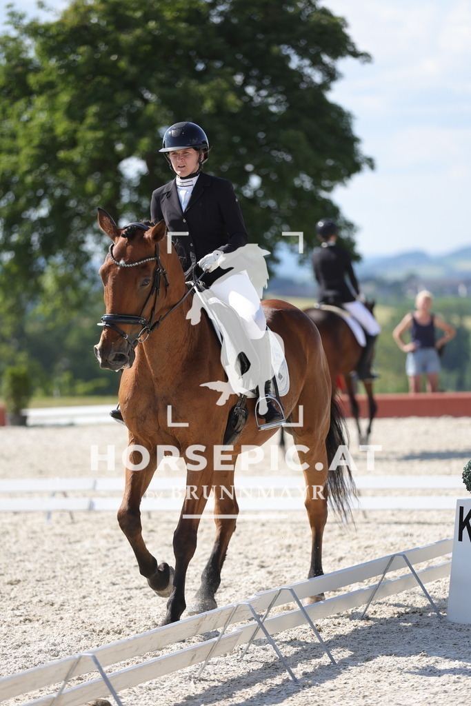 0P6A8062 | Willkommen bei Brunnmayr - Design & Fotografie – Ihrem Spezialisten für Reitturniere und Pferdeveranstaltungen in Oberösterreich, Salzburg und Bayern! Seit über 17 Jahren sind wir leidenschaftlich dabei.
