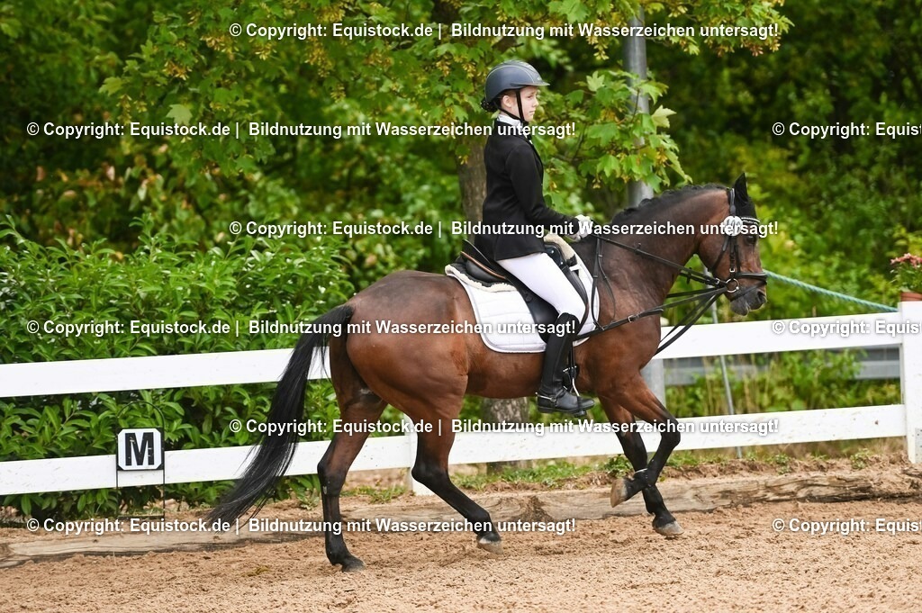 20230716_10-2_Reiter-WB Schritt - Trab - Galopp_0105 | equistock