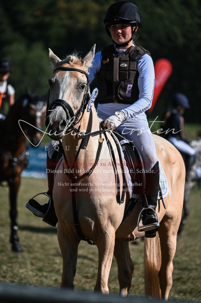 DSC_7010 | Pferde- und Turnierfotografie in Westsachsen. Pferdeportraits, Auftragszeichnungen und intuitive Kunst.