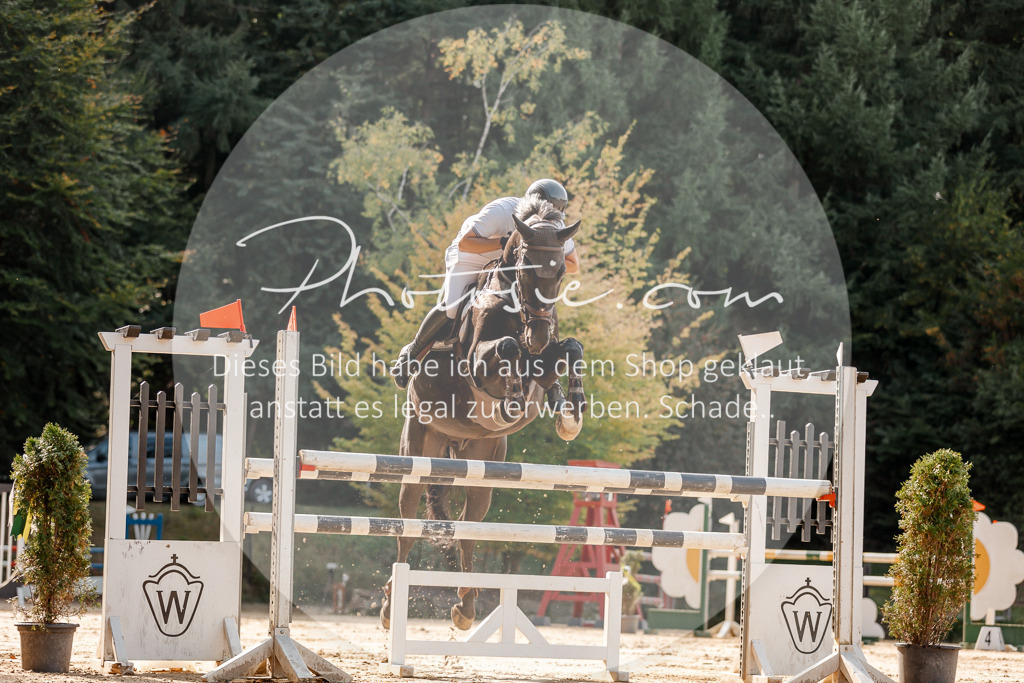 3I6A4745 | Stimmungsvolle Portraits und Reitsportfotografie im Ruhrgebiet und im Münsterland.

Pferdefotografie, Hundefotografie, Tierfotografie, Reportagen, Portraits von Tier und Mensch, Turnierfotografie in Bochum, Recklinghausen, Marl, Haltern am See, Dülmen.. - Realisiert mit Pictrs.com