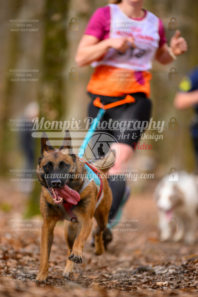 MompixPhotography_Habay2025_SA_CCC-194 | PayLife