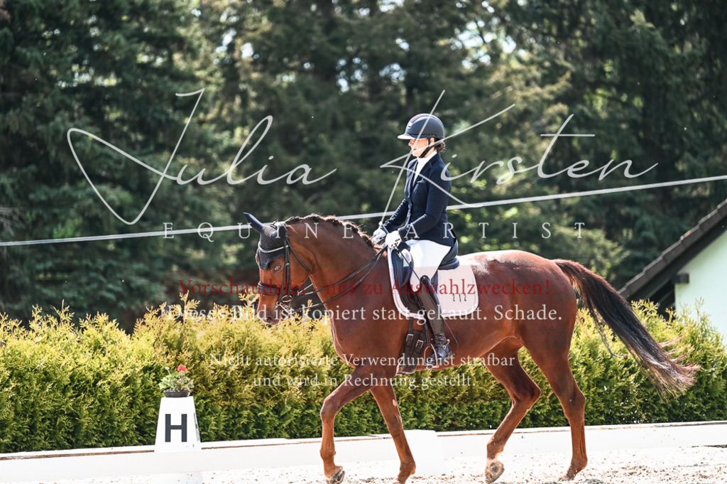 20230513_JK-Röhrsdorf-10-0828 | Pferde- und Turnierfotografie in Westsachsen. Pferdeportraits, Auftragszeichnungen und intuitive Kunst.