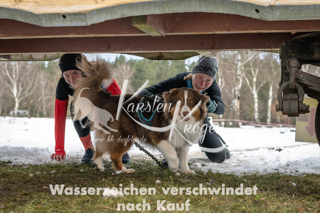 0932_ZZ90669 | kk-dogfotos