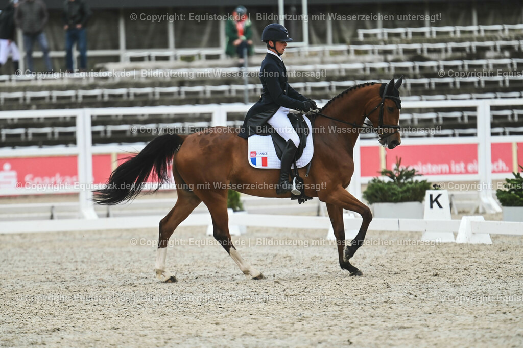 20230512_CCI4_Dressur_0360 | equistock