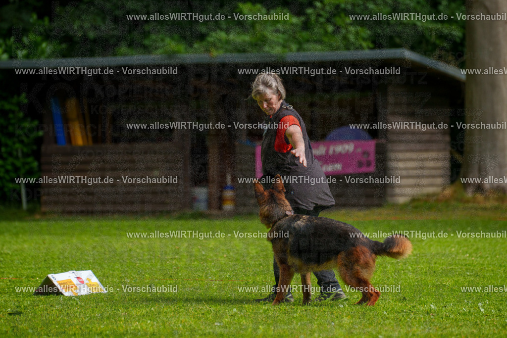 @allesWIRTHgut_Tierfotografie - www.allesWIRTHgut.de - 7R502430 | Professionelle Tierfotografie in Mönchengladbach von Daniel Wirth (allesWIRTHgut). Liebevolle & natürliche Bilder von Hunden & Katzen für unvergessliche Erinnerungen.