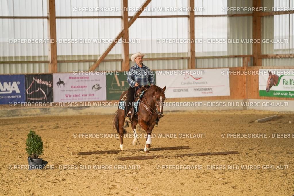 DSC01696 | Pferdegrafie