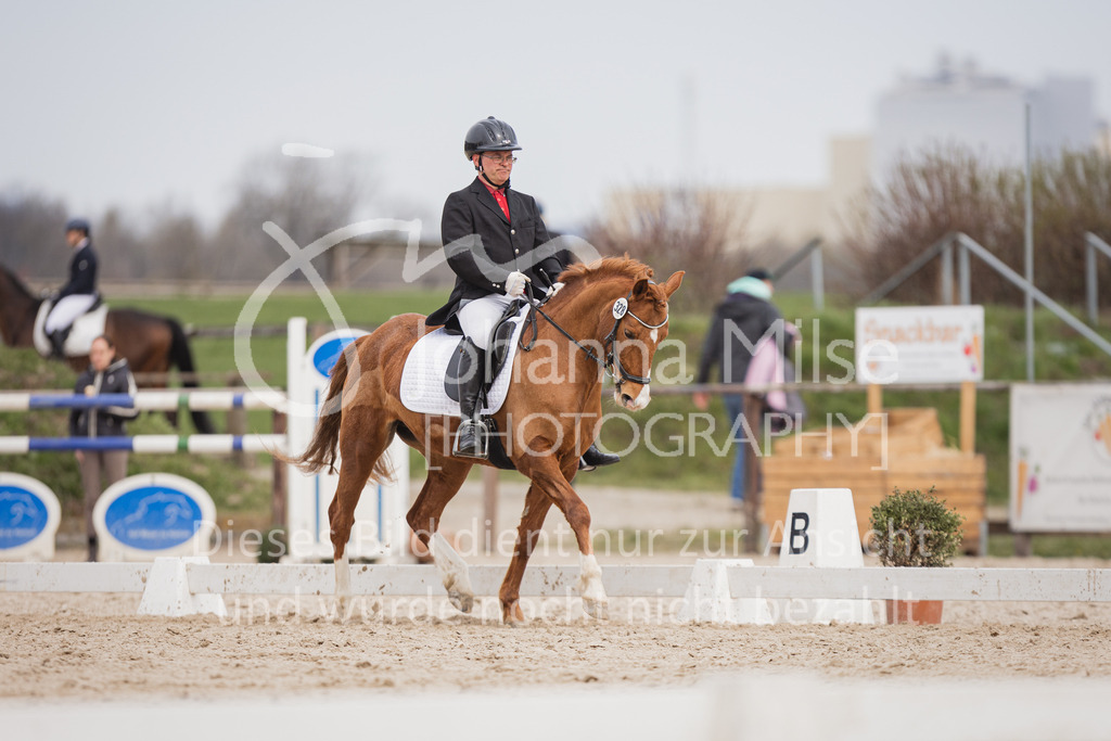 230410_Frühlingsfest_DressurWBA2-324 | Deine schönsten Turniermomente als professionelle Fotos! Entdecke hochwertige Pferdesport-Fotografie im Online-Shop. Jetzt Fotos finden & bestellen!