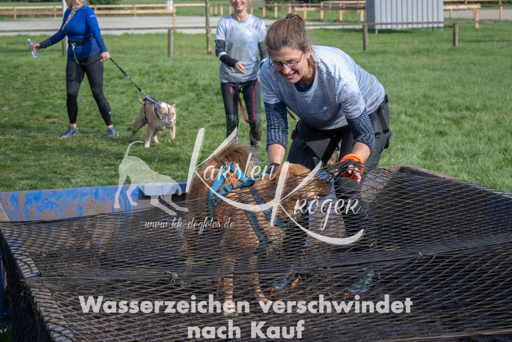 1609_ZZ91761 | kk-dogfotos