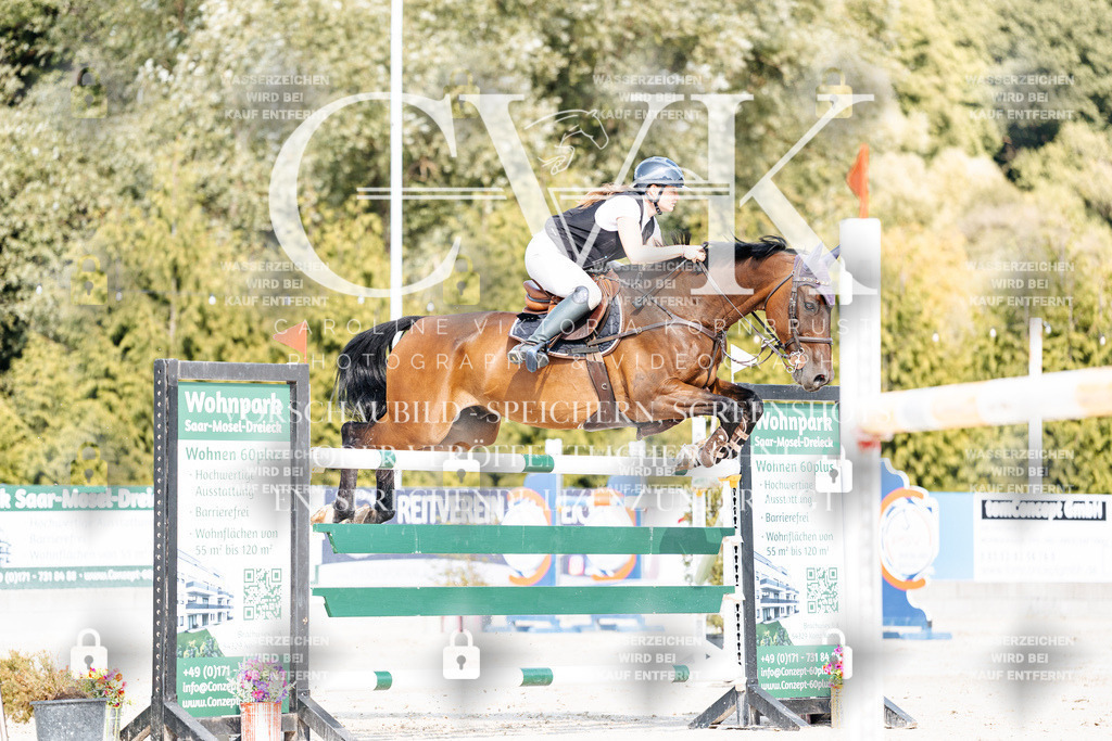 CK909107 | Turnierfotografie Pferdefotografie Trier Rheinland-Pfalz Pferdesport Reitsport Tierfotografie Sportfotografie Pferdevideo Pferdevideografie Equestrianvideography equestrianphotography  - Realisiert mit Pictrs.com