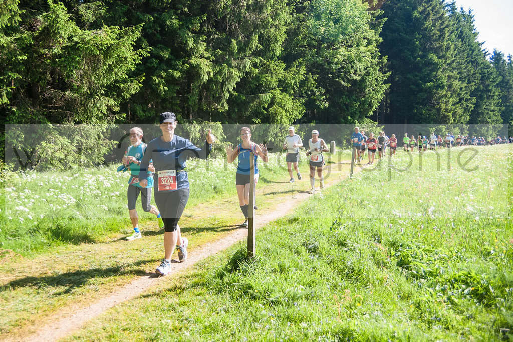 Rennsteiglauf 2018 | Neuhaus/Rwg. - Schmiedefeld am 26. Mai 2018