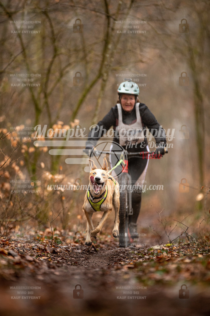 Reiat2023_SON_Scooter_5km_1H-76 | PayLife