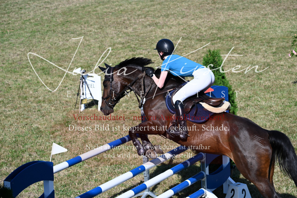 DSC_2365 | Pferde- und Turnierfotografie in Westsachsen. Pferdeportraits, Auftragszeichnungen und intuitive Kunst.