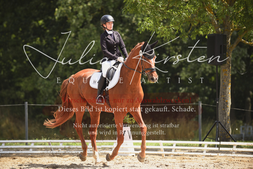 DSC_1096 | Pferde- und Turnierfotografie in Westsachsen. Pferdeportraits, Auftragszeichnungen und intuitive Kunst.