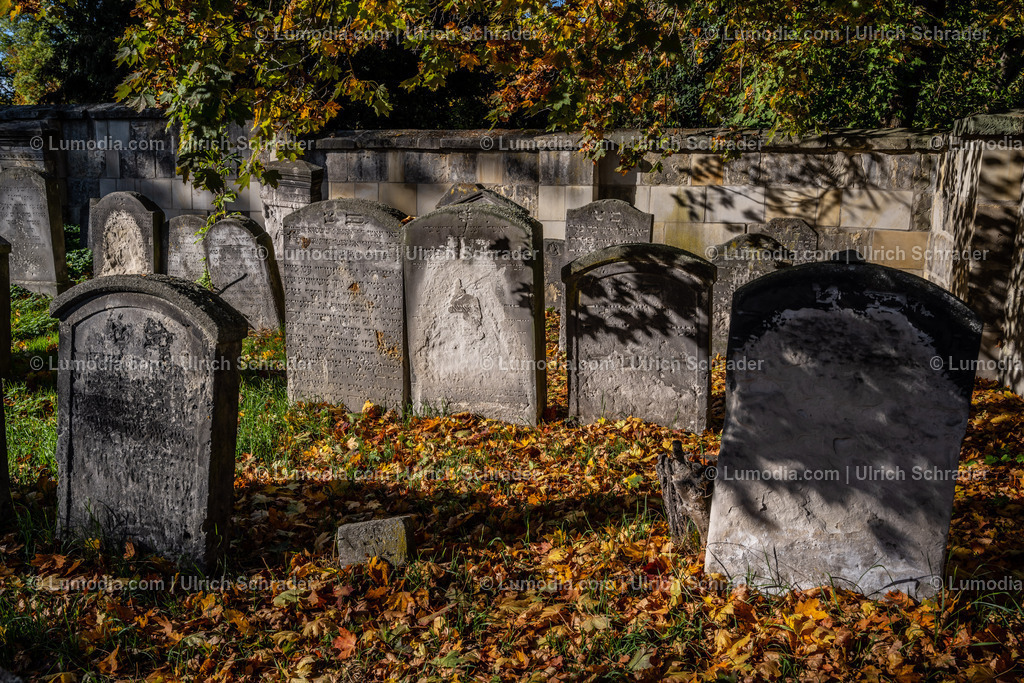 10049-12653 - Jüdische Friedhöfe Halberstadt | Stockfoto und Bilderpool mit Bildmaterial aus Deutschland, dem Harz, Halberstadt, Quedlinburg, Wernigerode und weltweit. Qualitativ hochwertige und professionelle Fotos anschauen und kaufen. - Realisiert mit Pictrs.com