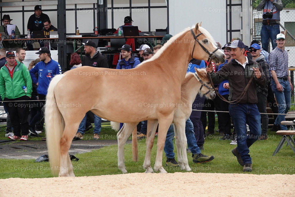 DSC00682 | Schwingen - Realisiert mit Pictrs.com