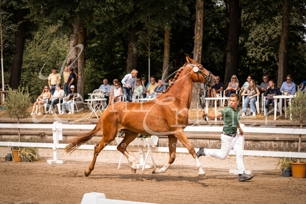 4.Fr00167 | Leoni Ertmer Photography - Realisiert mit Pictrs.com