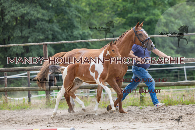 Hexenberg-368 | mandyhollmannphotographie