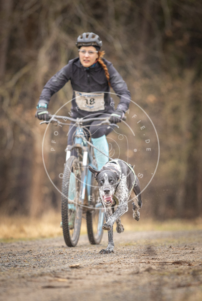 DV3A3211 | Hundefotografie, Tierfotograf, Pfotenfotografie, Fotoshooting Hund, Hunde Portrait, Hundesport, Hundeportraits, Heideshooting, Hunde, Sportfotograf, Hundefotograf, Turnierhundsport, THS,  - Realisiert mit Pictrs.com