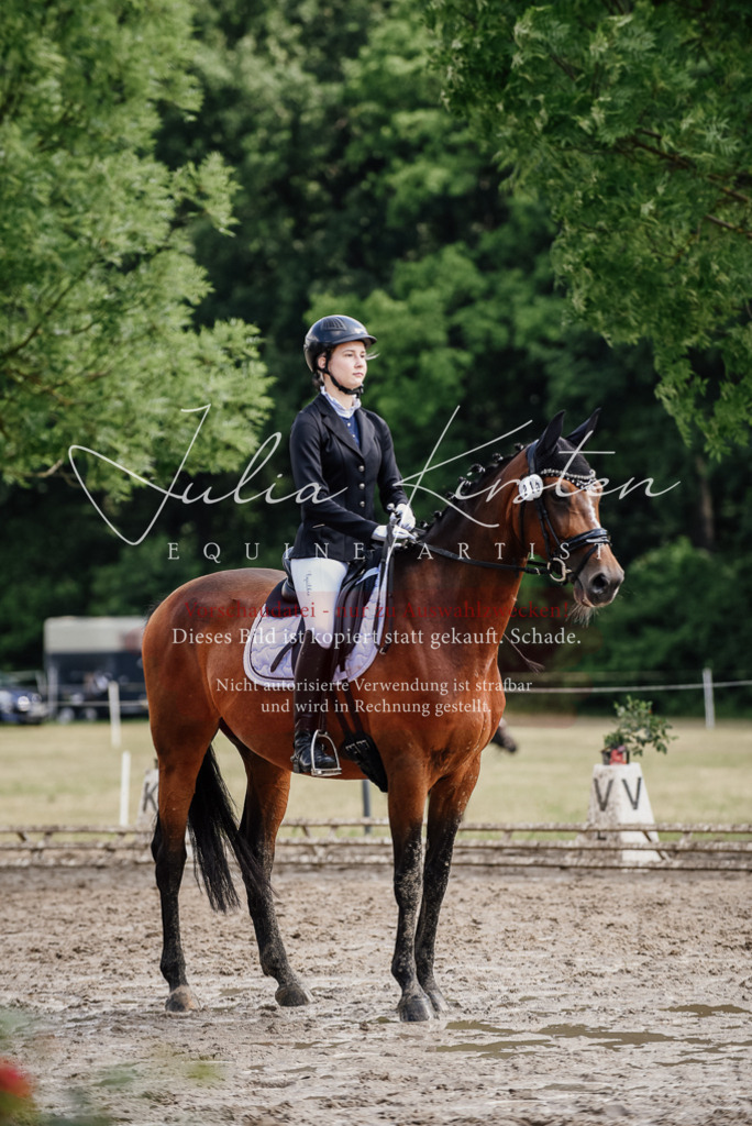 DSC_0433 | Pferde- und Turnierfotografie in Westsachsen. Pferdeportraits, Auftragszeichnungen und intuitive Kunst.
