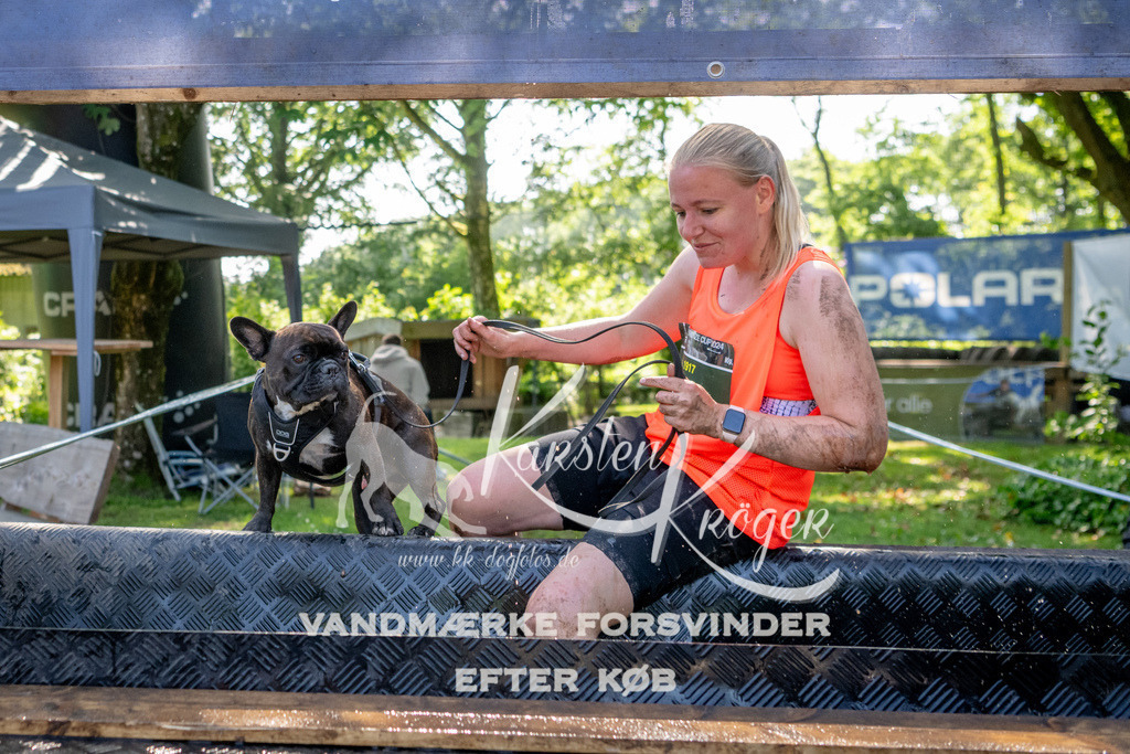 1533_ZZ91803 | kk-dogfotos