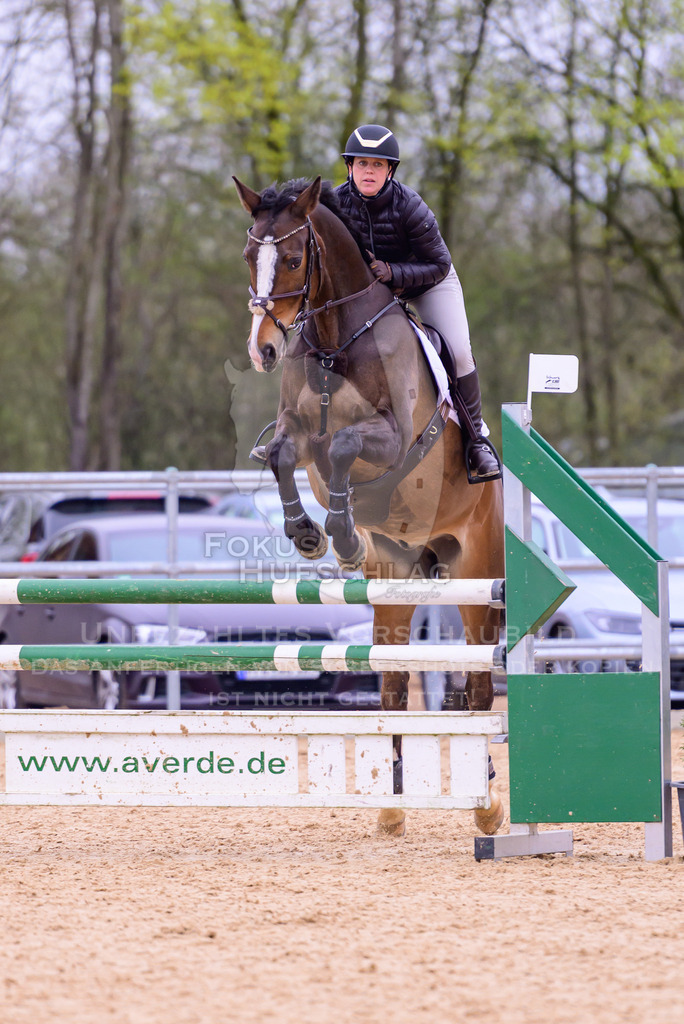 12042026-Mammendorf-Prfg42-0263 | Fokus Hufschlag Fotografie - Realisiert mit Pictrs.com