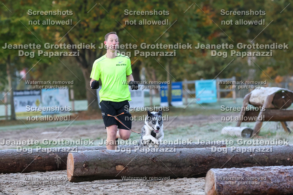 Dog Paparazzi - Strongdog 10-25-81 | Dog Paparazzi Jeanette Grottendiek Fotografie & Videografie - Realisiert mit Pictrs.com