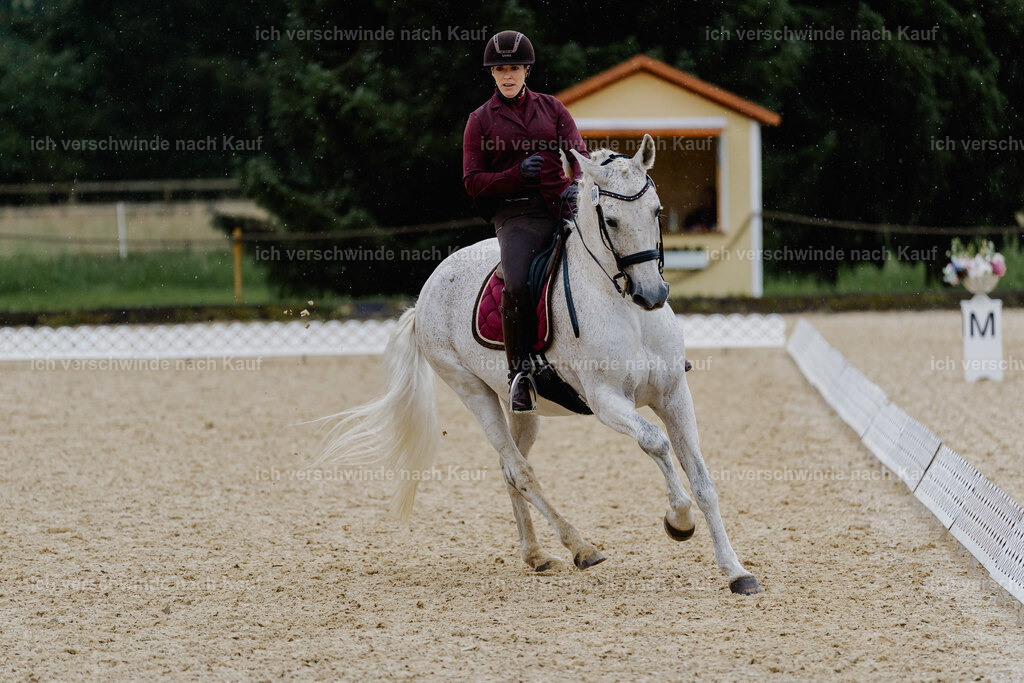Kelly4_FHC2025-8572 | working equitationturnier fotograf videograf stoibphotography marixx film working equitation deutschland reitsport turnierfotografie eventfotografie equestrian events