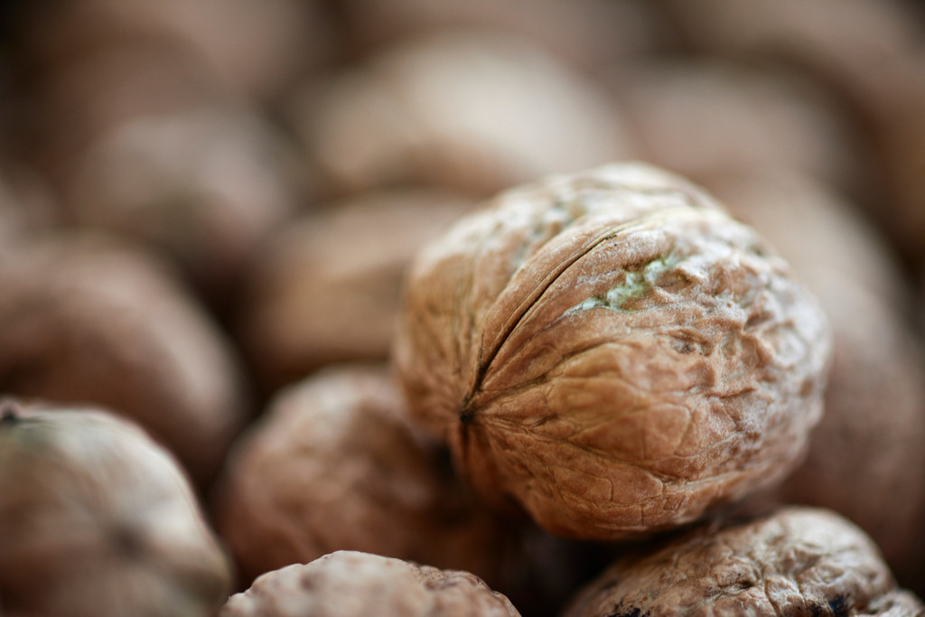 Walnüsse beim trocknen | Austria - September 10, 2018: Walnüsse beim trocknen. - Realisiert mit Pictrs.com