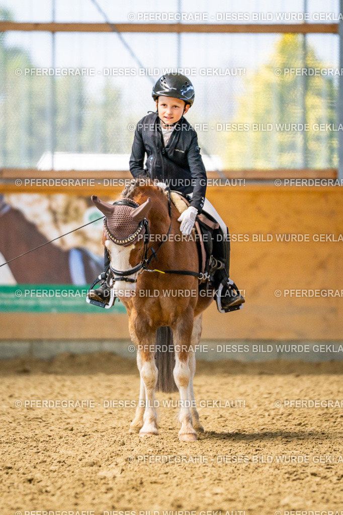 DSC03057 | Pferdegrafie