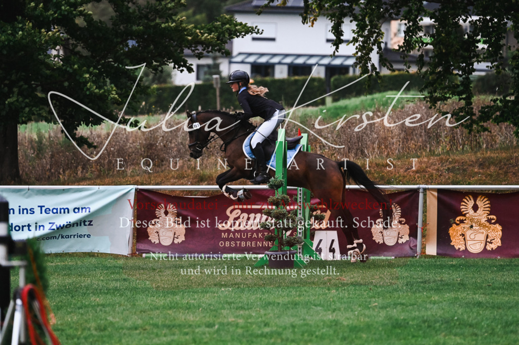 DSC_6165 | Pferde- und Turnierfotografie in Westsachsen. Pferdeportraits, Auftragszeichnungen und intuitive Kunst.