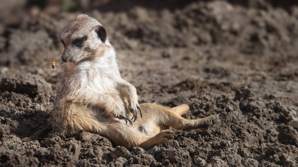 Stukenbrock, Deutschland | Die schönsten Bilder für Ihre Räume online bestellen! In unseren Bildergalerien findet Sie alles was es für Ihre Räume braucht. Lassen Sie sich überraschen ☺️ - Realisiert mit Pictrs.com