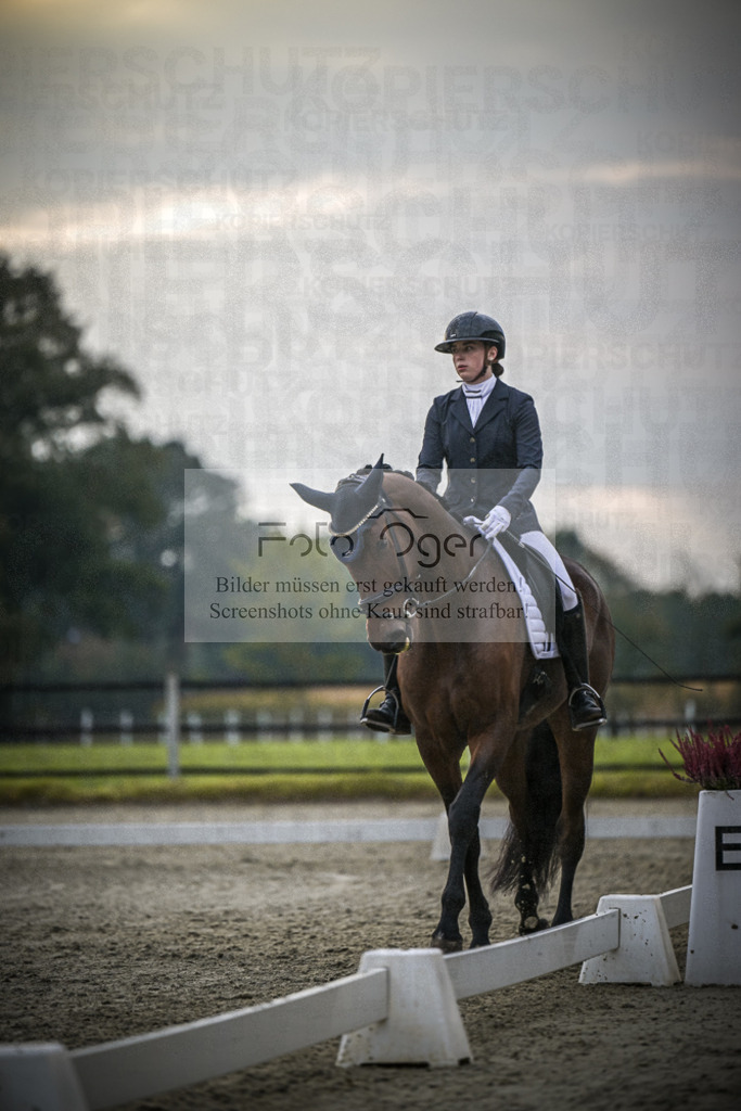 DOS_1459 | Entdecke hochwertige Reitturnierfotos von Foto Oger. Professionell, emotional und authentisch – jetzt Lieblingsmomente im Shop bestellen.Deutschlandweite Turnierfotografie. - Realisiert mit Pictrs.com