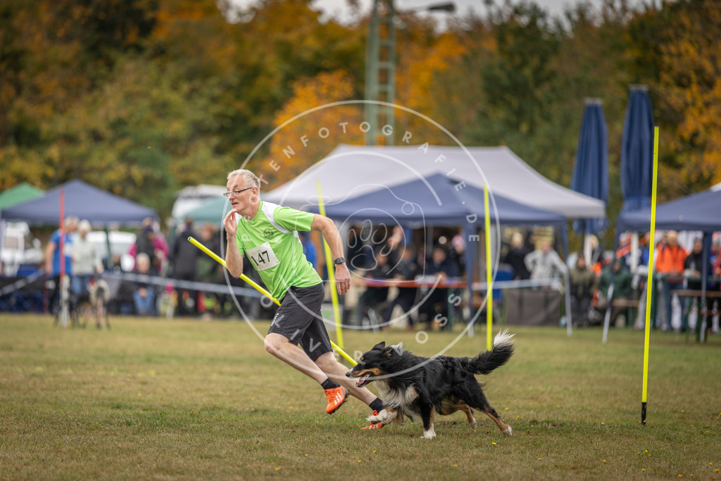 Pfotenfotografie_DV3A6505 | Hundefotografie, Tierfotograf, Pfotenfotografie, Fotoshooting Hund, Hunde Portrait, Hundesport, Hundeportraits, Heideshooting, Hunde, Sportfotograf, Hundefotograf, Turnierhundsport, THS,  - Realisiert mit Pictrs.com