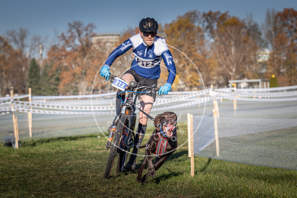 CaniXpix_0L8A4565 | Hundefotografie, Tierfotograf, Pfotenfotografie, Fotoshooting Hund, Hunde Portrait, Hundesport, Hundeportraits, Heideshooting, Hunde, Sportfotograf, Hundefotograf, Turnierhundsport, THS,  - Realisiert mit Pictrs.com