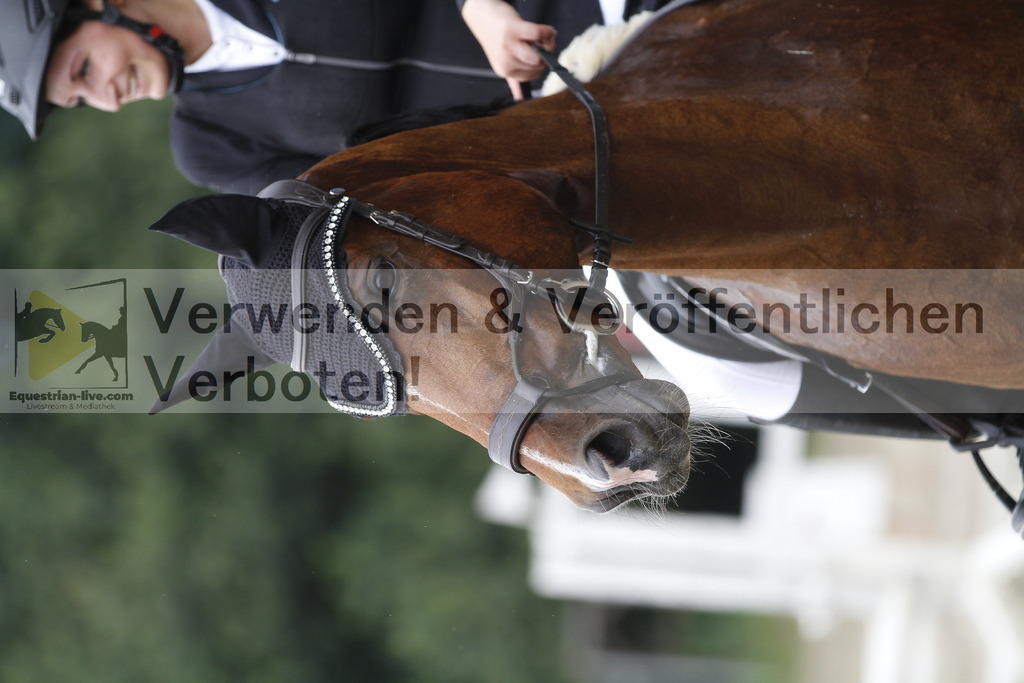 _MG_0579 | equestrian-live-com