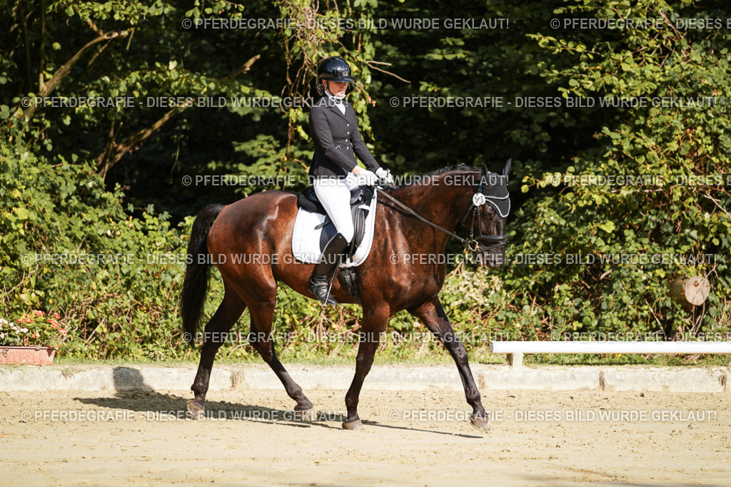 DSC08116 | Pferdegrafie