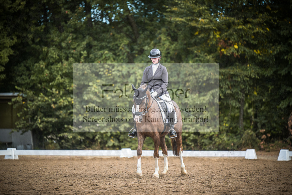 DOS_2137 | Entdecke hochwertige Reitturnierfotos von Foto Oger. Professionell, emotional und authentisch – jetzt Lieblingsmomente im Shop bestellen.Deutschlandweite Turnierfotografie. - Realisiert mit Pictrs.com
