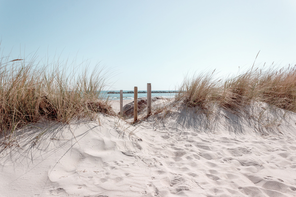 Wandbild: Düne und Strandhafer am Meer | Dieses Wandbild im Querformat zeigt eine kleine Düne bewachsen mit Strandhafer am Meer. Drei kleine Holzpfähle in der Mitte des Bildes sorgen für einen schönen Blickfang. Dieses Wandbild ist in einem stilvollen hellen Farbton gehalten und ist damit passend zu fast jedem Einrichtungsstil. Zudem ist der Farbumfang in diesem Wandbild reduziert. Der Strandsand bringt einen natürlichen Sandton ins Bild und das pastellartige blau wirkt beruhigend und gleichzeitig elegant. Holen Sie sich dieses traumhafte Strandmotiv auf Leinwand, Aluminium-Platte oder Acrylglas. Ideal fürs Wohnzimmer, Schlafzimmer, Küche, den Arbeitsplatz oder die Ferienwohnung.   - Realisiert mit Pictrs.com