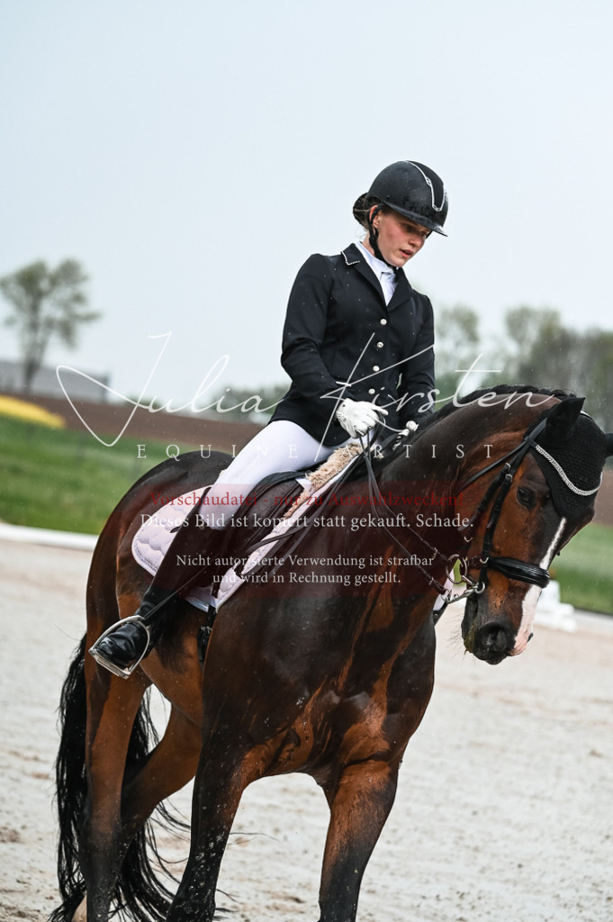 DSC_4140 | Pferde- und Turnierfotografie in Westsachsen. Pferdeportraits, Auftragszeichnungen und intuitive Kunst.