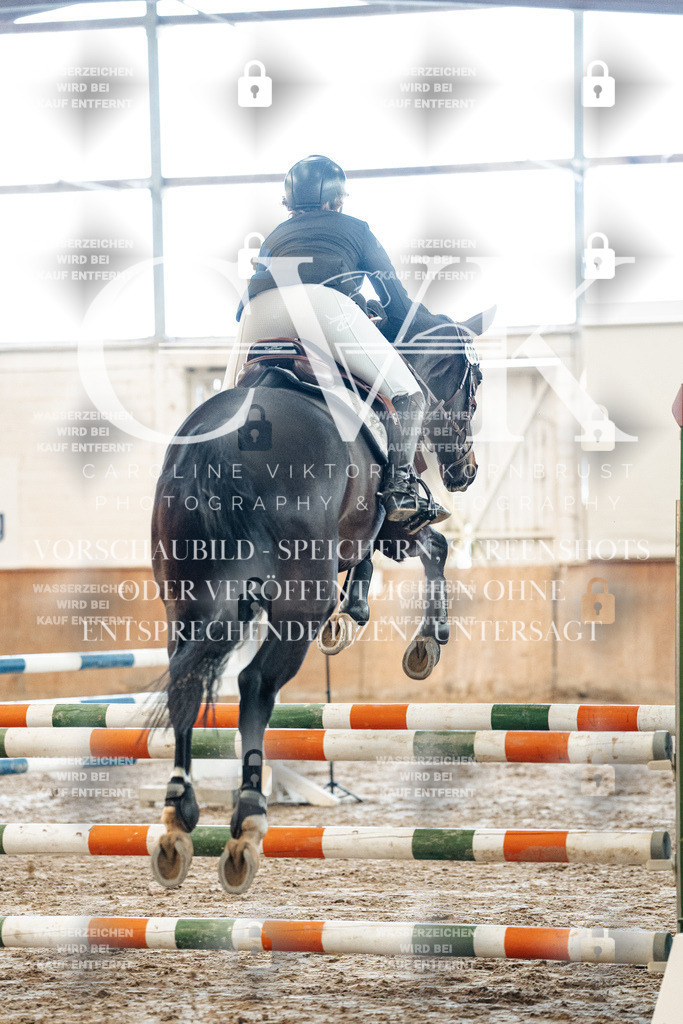 CK904192 | Turnierfotografie Pferdefotografie Trier Rheinland-Pfalz Pferdesport Reitsport Tierfotografie Sportfotografie Pferdevideo Pferdevideografie Equestrianvideography equestrianphotography  - Realisiert mit Pictrs.com