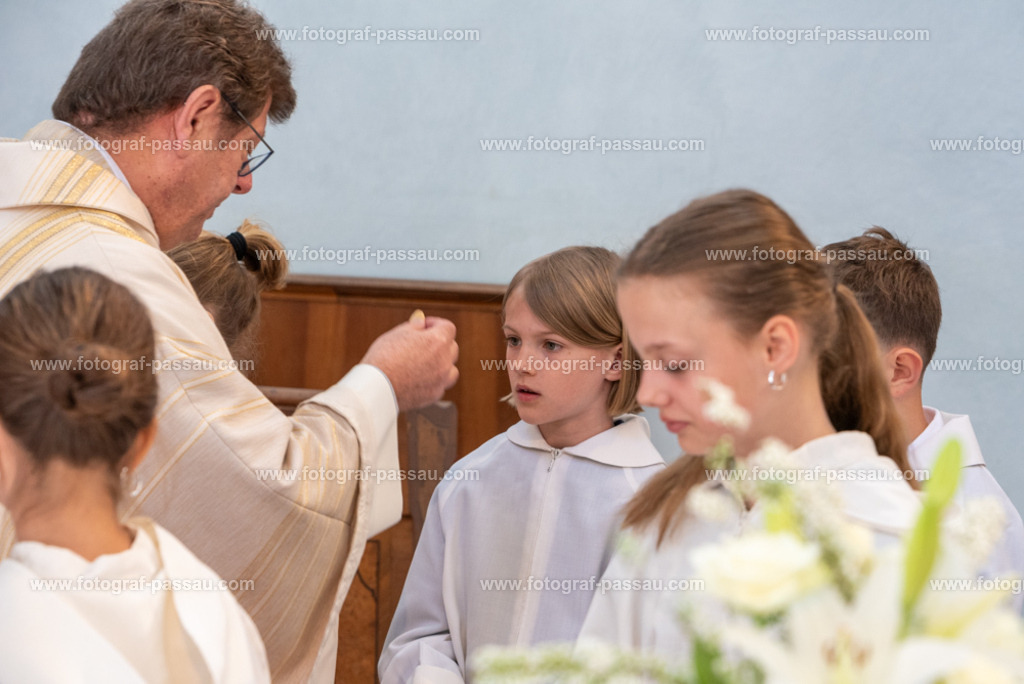 _DSC2736 | Hier finden Sie die Online Foto-Galerie von fotograf-passau.com und marius-handrugan.de. Suchen Sie sich direkt Ihre Lieblingsbilder aus, ob als Ausdruck oder Download. - Realisiert mit Pictrs.com