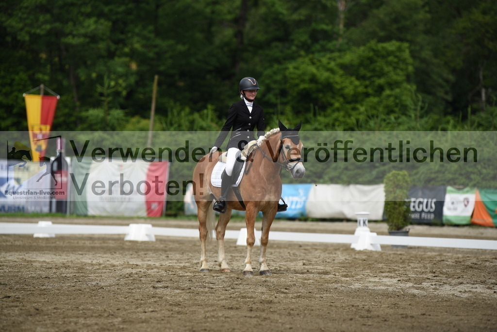 DSC_8233 | equestrian-live-com