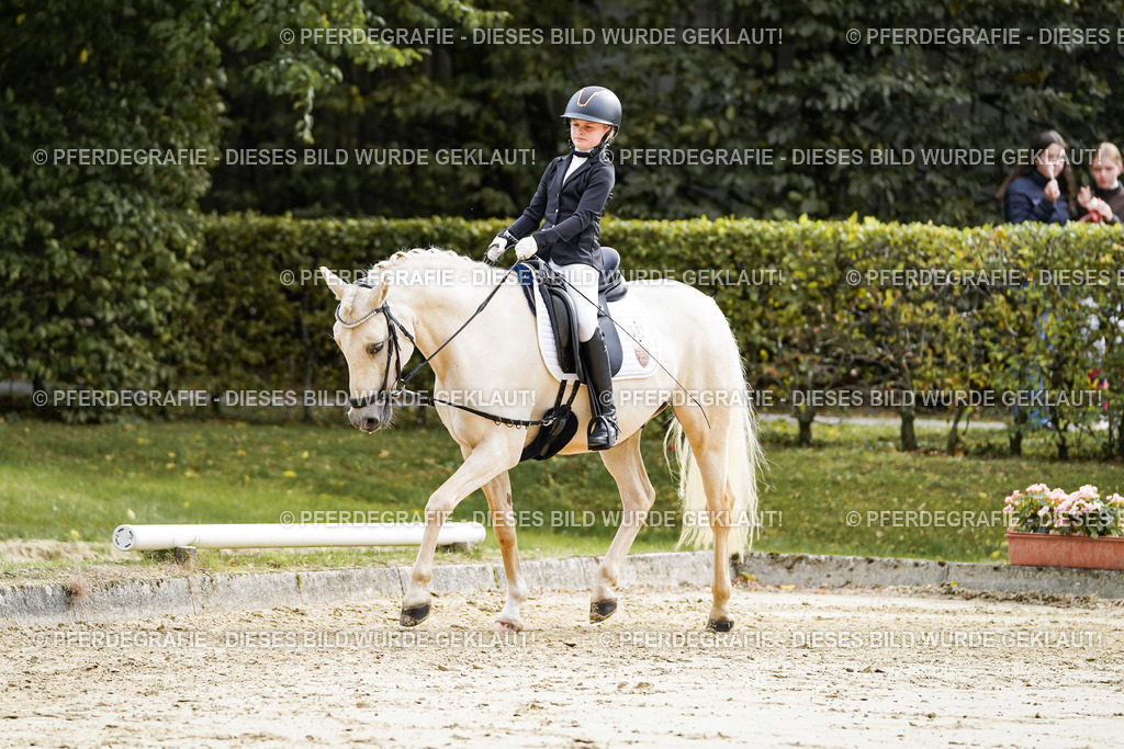 DSC05563 | Pferdegrafie