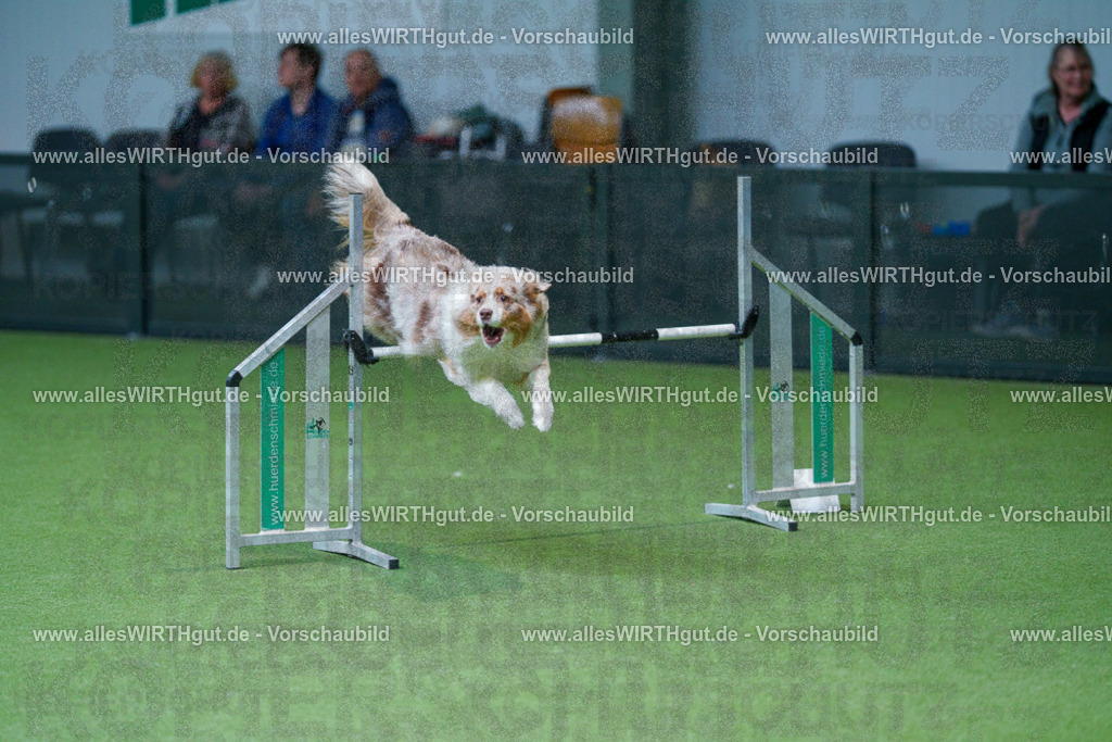 @allesWIRTHgut_Tierfotografie - www.allesWIRTHgut.de - 2604251051-7R500315 | Professionelle Tierfotografie in Mönchengladbach von Daniel Wirth (allesWIRTHgut). Liebevolle & natürliche Bilder von Hunden & Katzen für unvergessliche Erinnerungen.