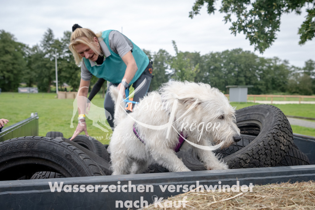 1247_ZZ92332 | kk-dogfotos