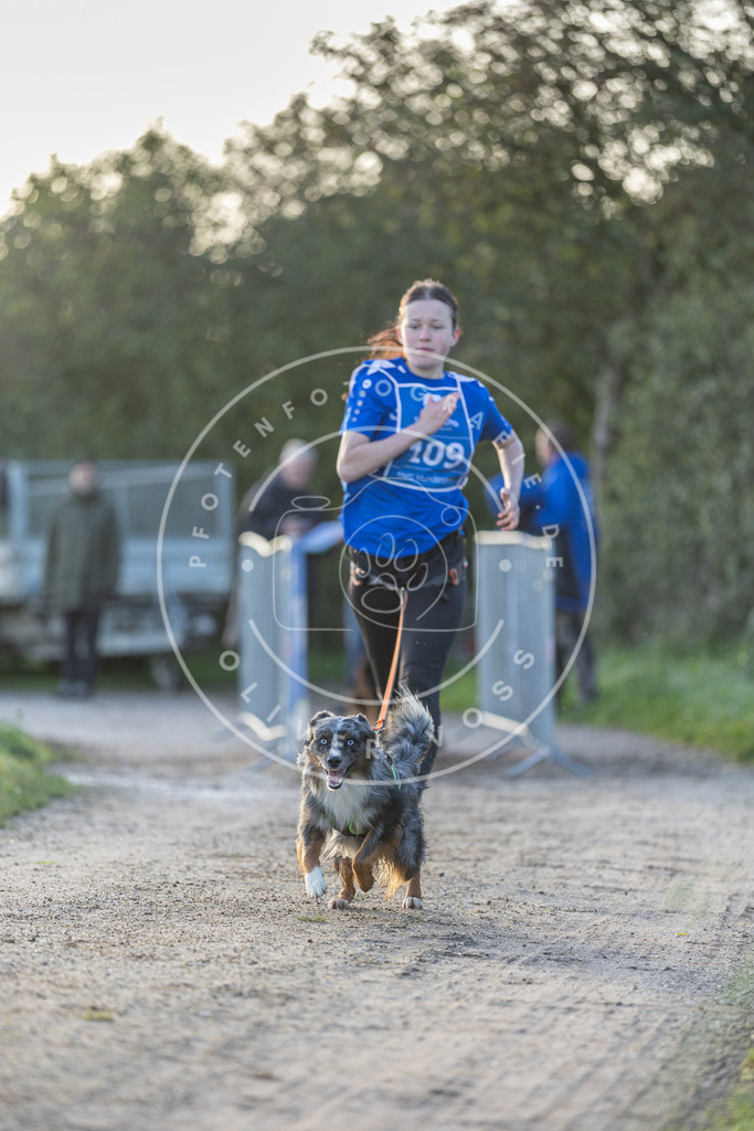 Pfotenfotografie.de_DV3A2524 | Hundefotografie, Tierfotograf, Pfotenfotografie, Fotoshooting Hund, Hunde Portrait, Hundesport, Hundeportraits, Heideshooting, Hunde, Sportfotograf, Hundefotograf, Turnierhundsport, THS, canicross - Realisiert mit Pictrs.com